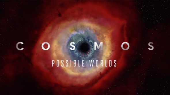 cosmos-possible-worlds